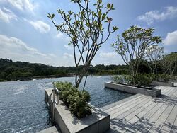 Dairy Farm Residences (D23), Apartment #558539541